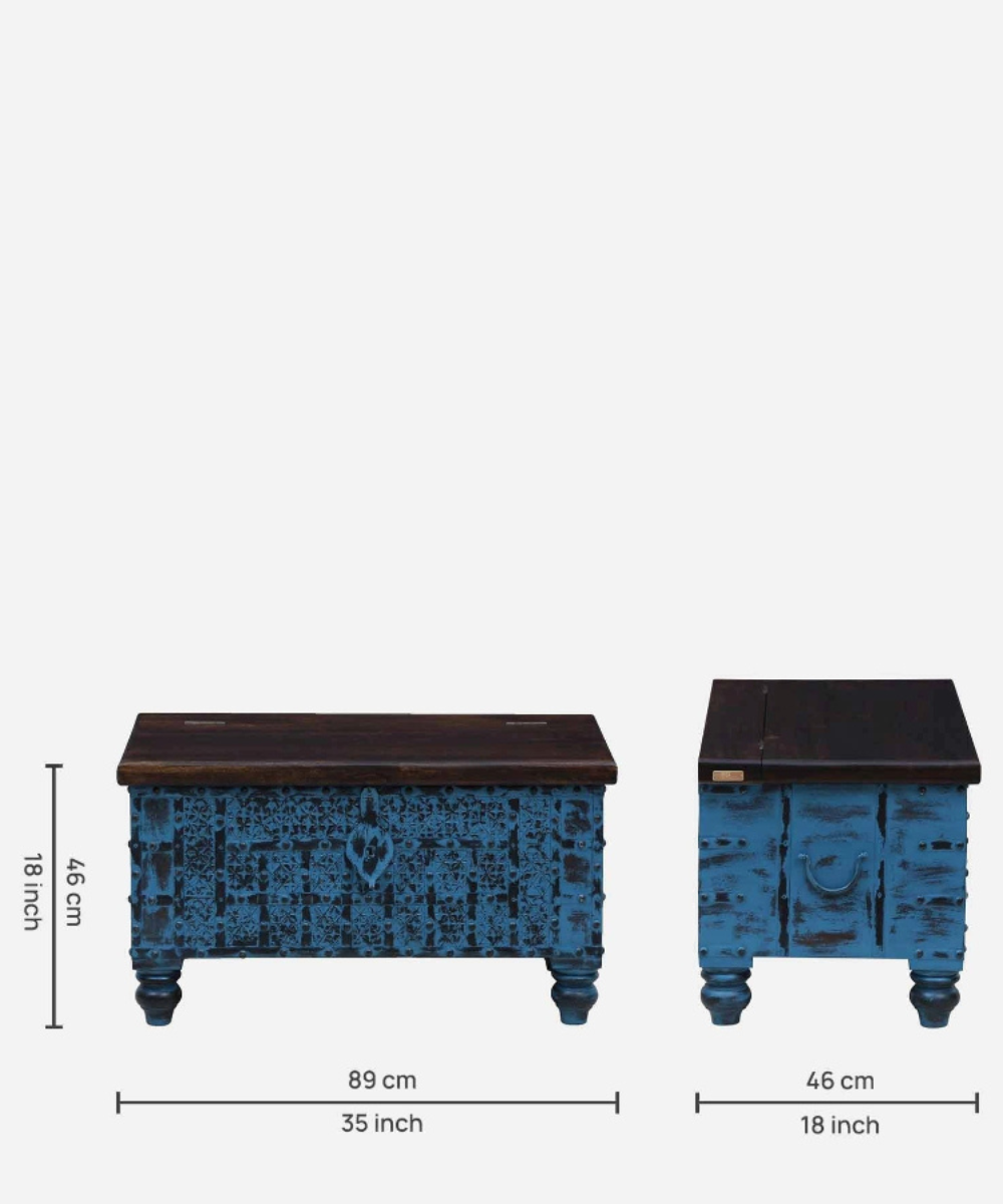 Trunk in a living room setup