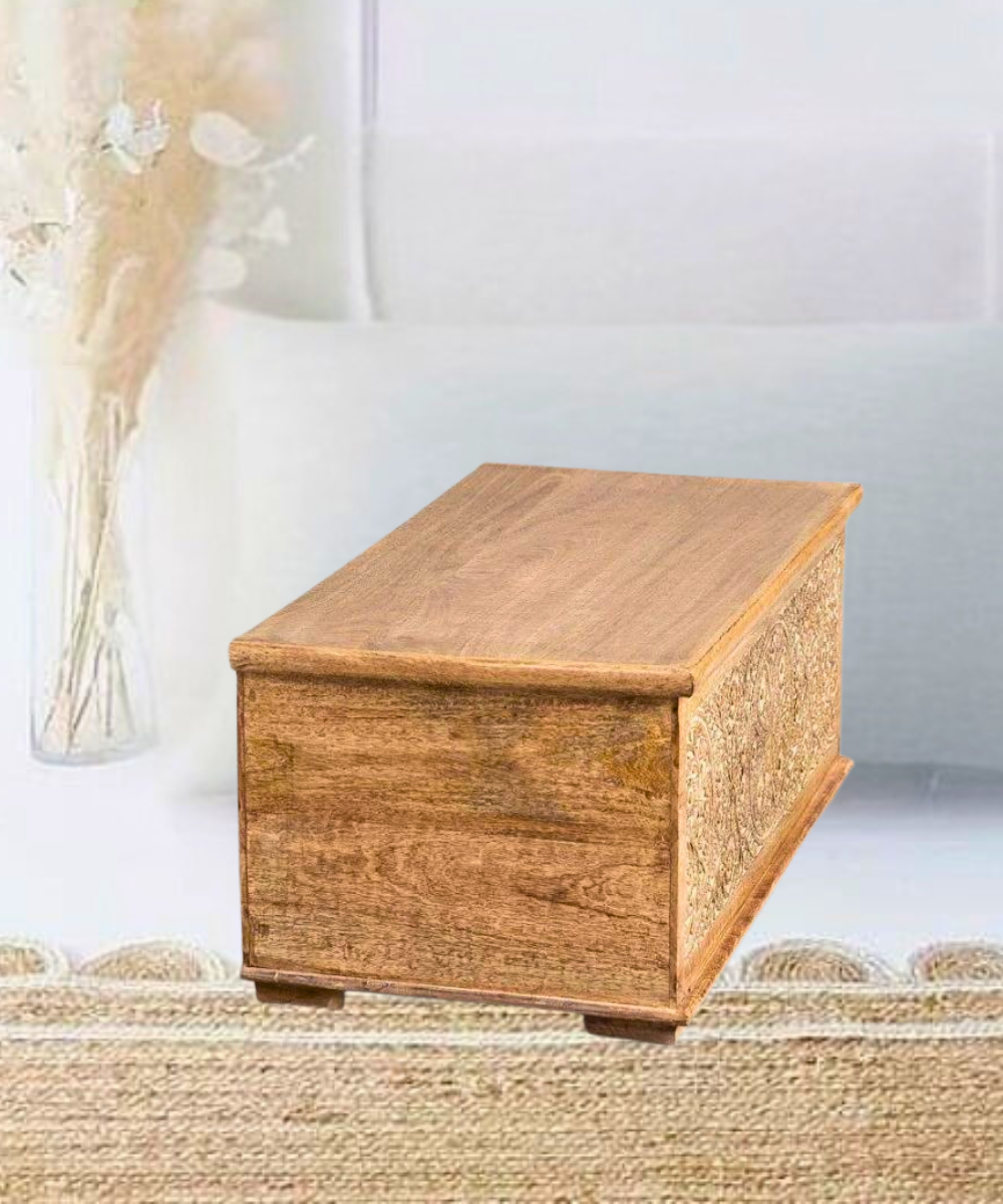 Versatile Storage Trunk for Bedroom, Hallway, or Living Room